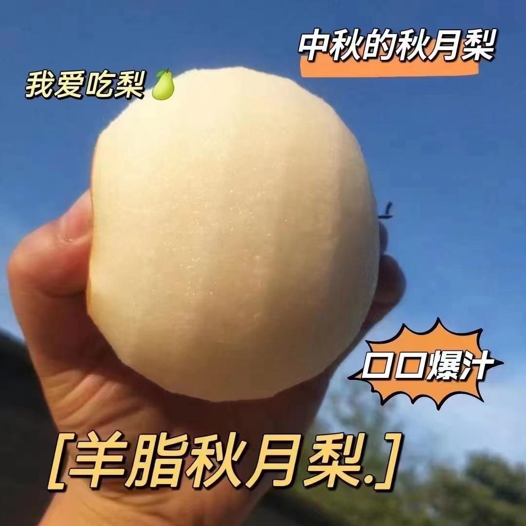 乐辰乐果蔬【秋月梨季】