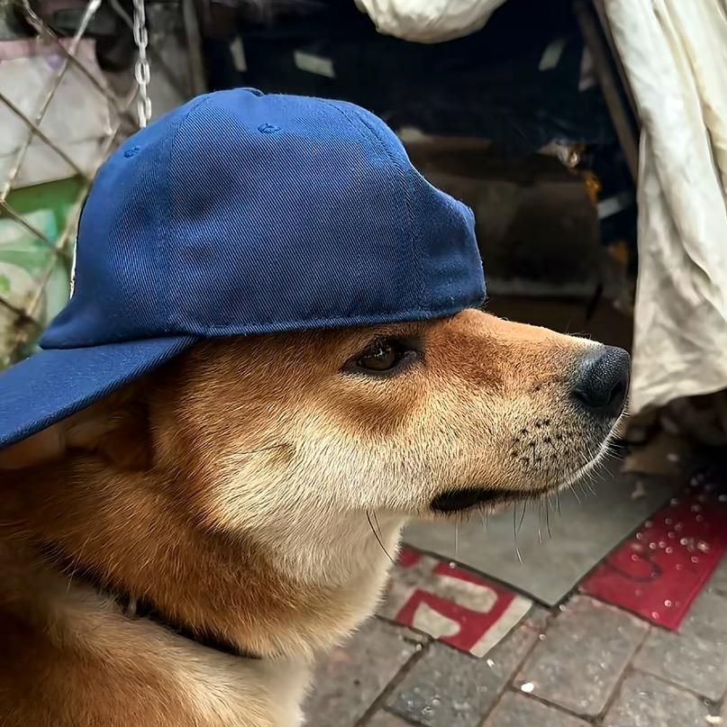 绘画