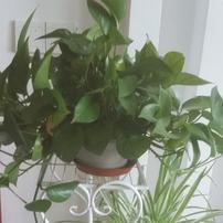懂得珍惜