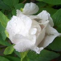 🌈🌈一二三咔！