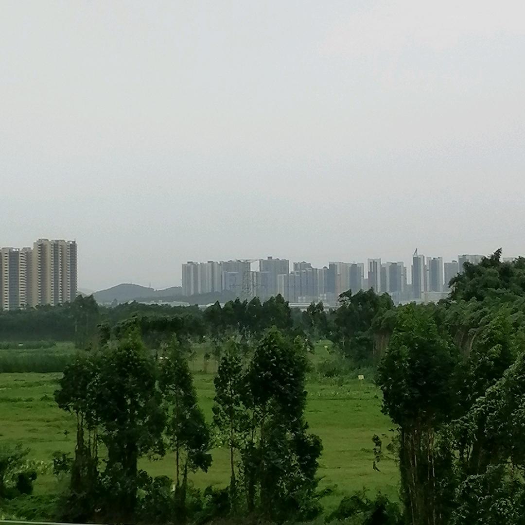文