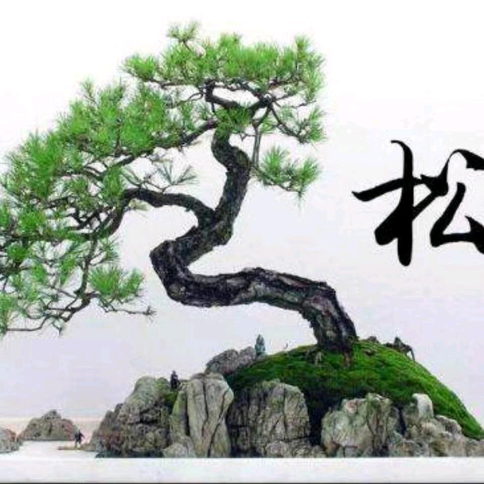 轩❤️诺❤️晔
