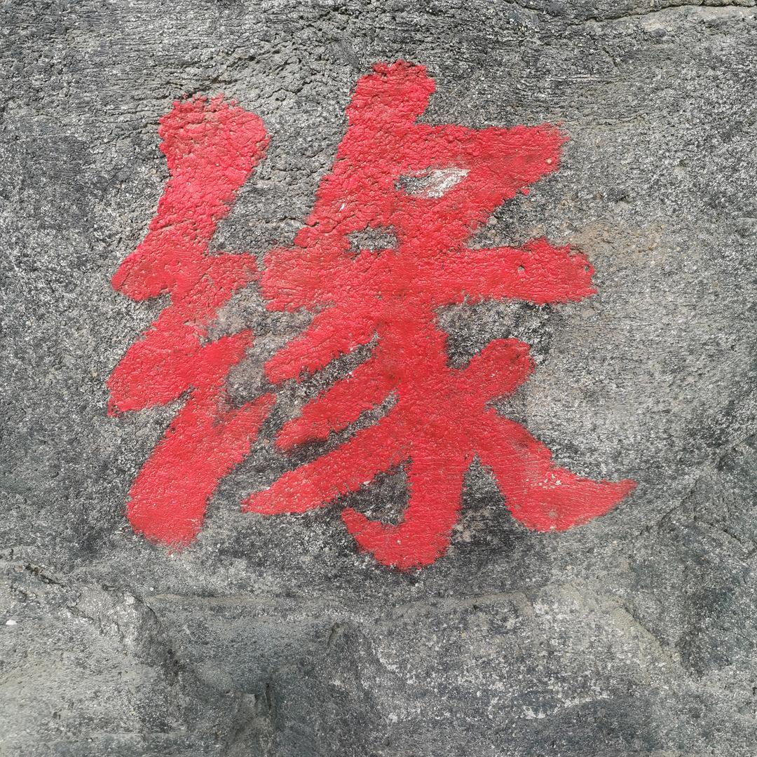 远嫁的姑娘