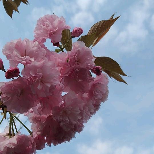 力挽狂澜，为缘奋斗！