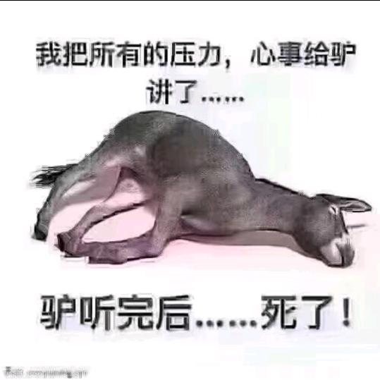 梅川 内酷