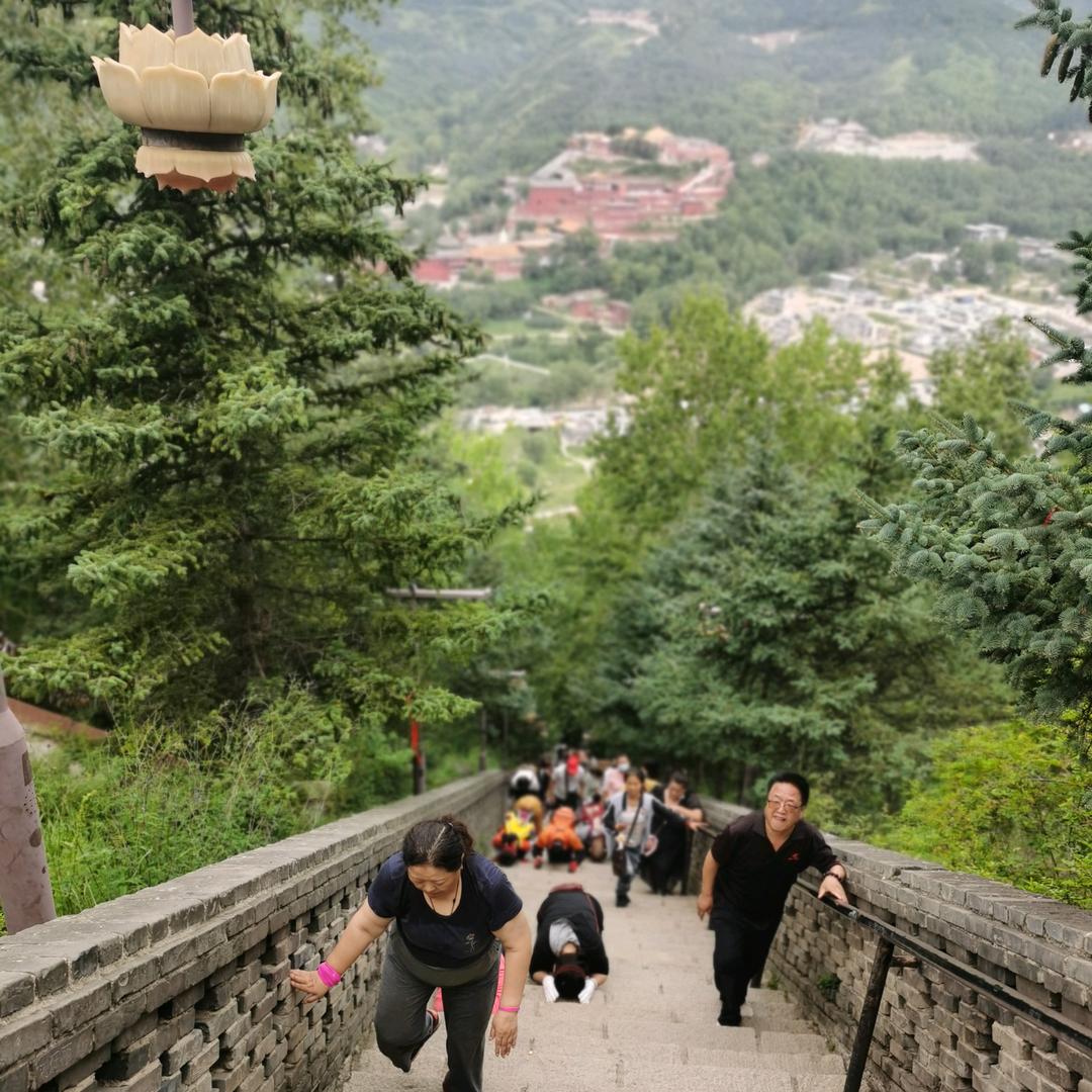 今生只为遇见你