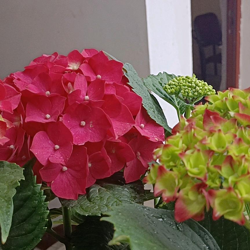悟姐🌹🌹🌹🎁🎁🎁