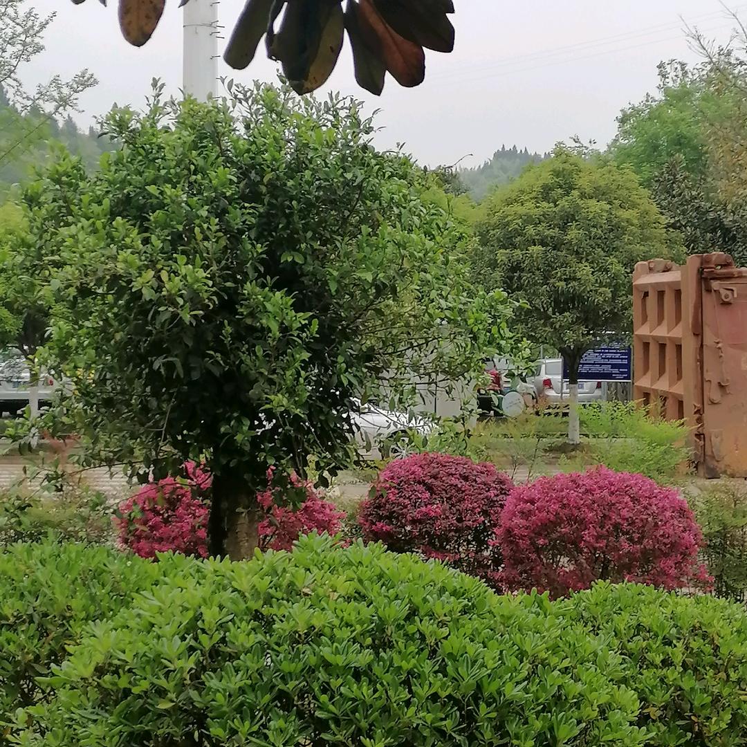 平平淡淡才是真