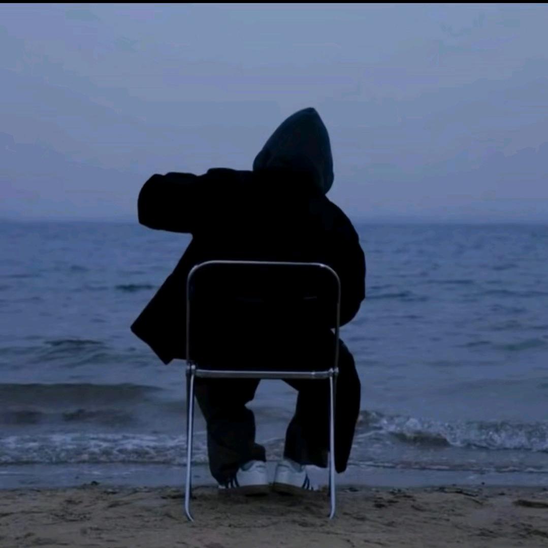 不会飞的海鸥