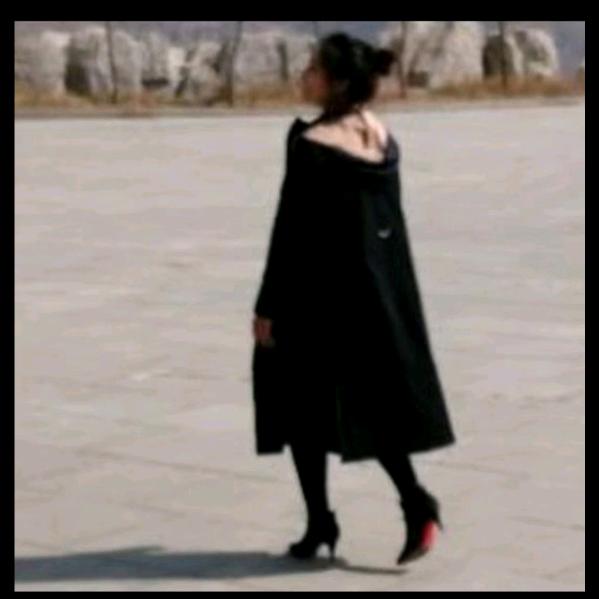 草原归来628