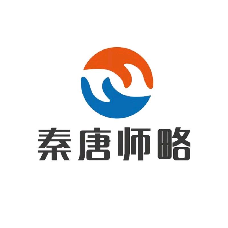 秦唐师略