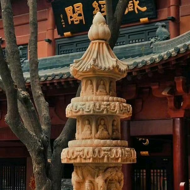 素食梵行-王紫菲