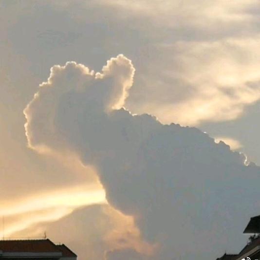 雷阿鸣