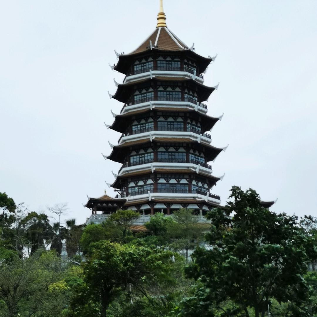 胶东哥