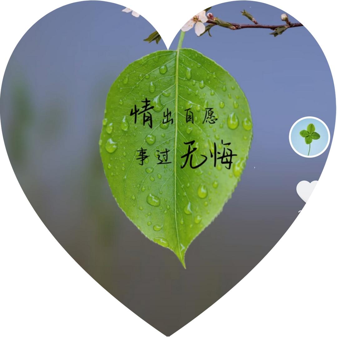青松@