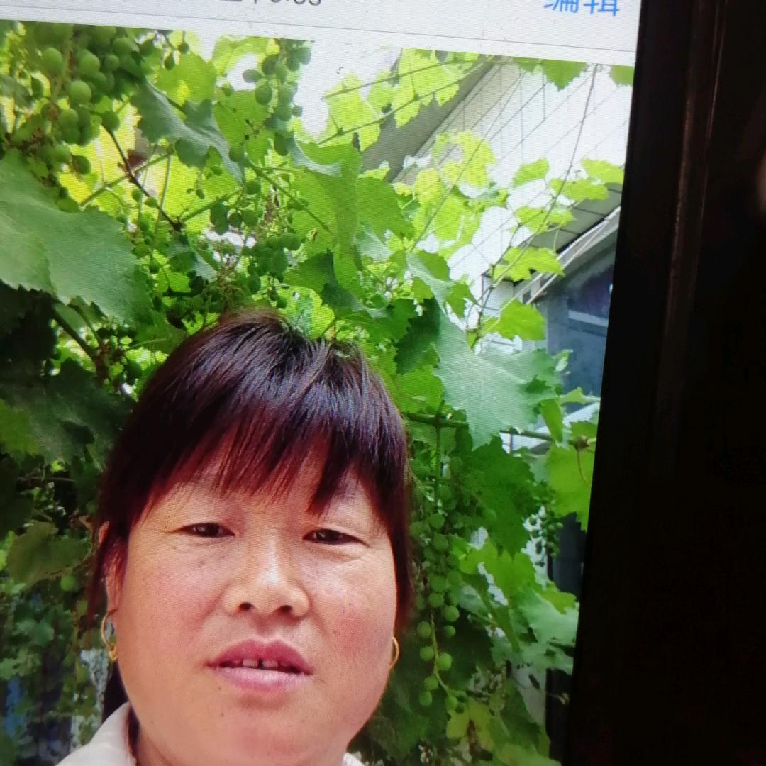 路瑶