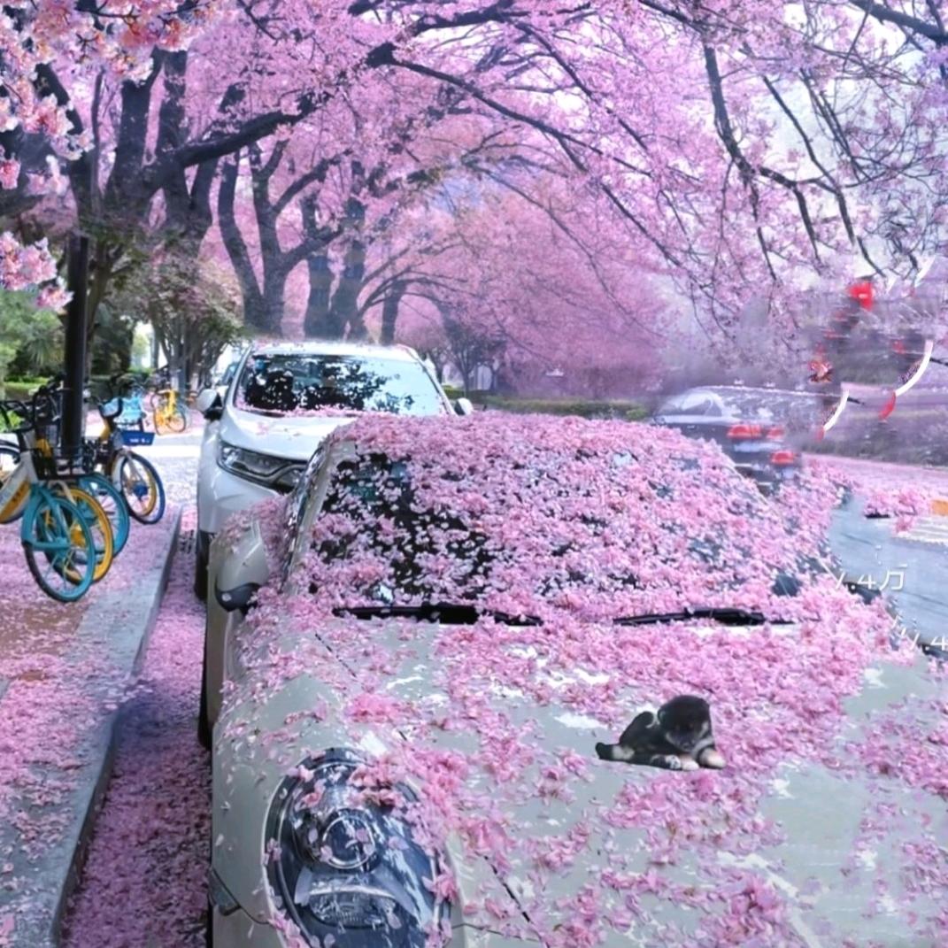 @雨点点