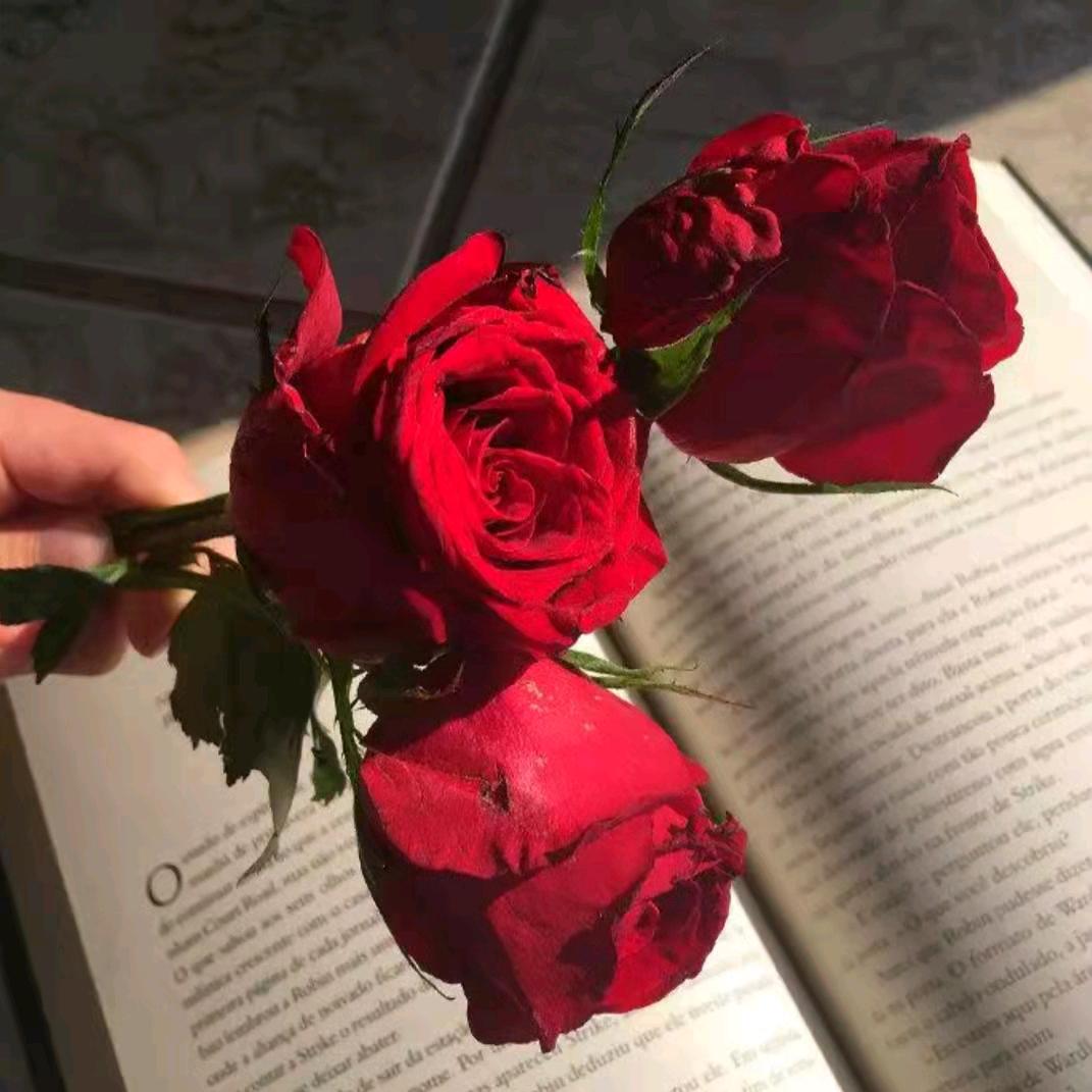 商丘虞城镇里固乡联达A74梅姐