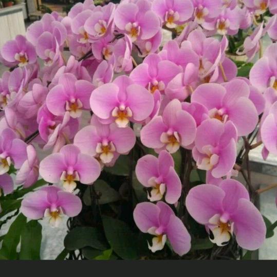 万泉机电放飞梦想~侯孟～131