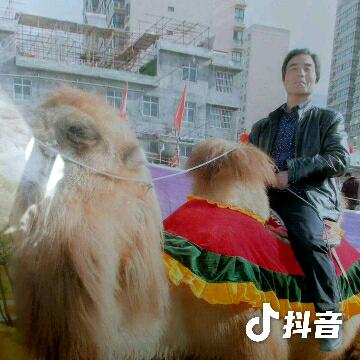 天长地久  永不放手