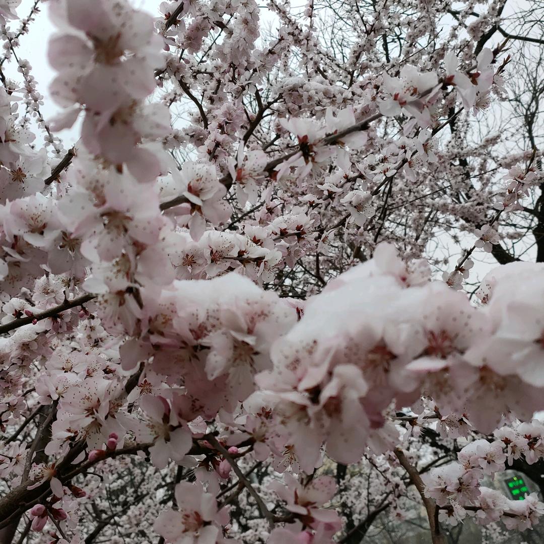 热乎