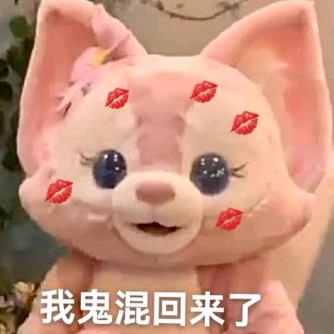 今天也看了300部头像