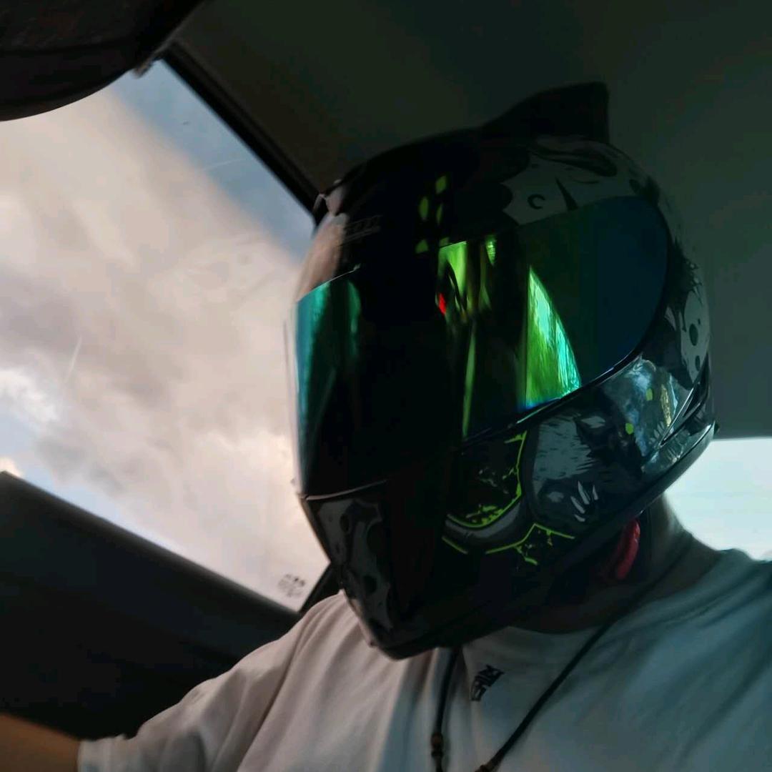 北极熊爱企鹅✨