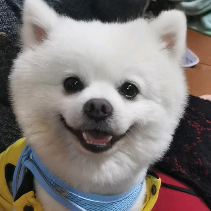 紫థ౪థ月谭己己