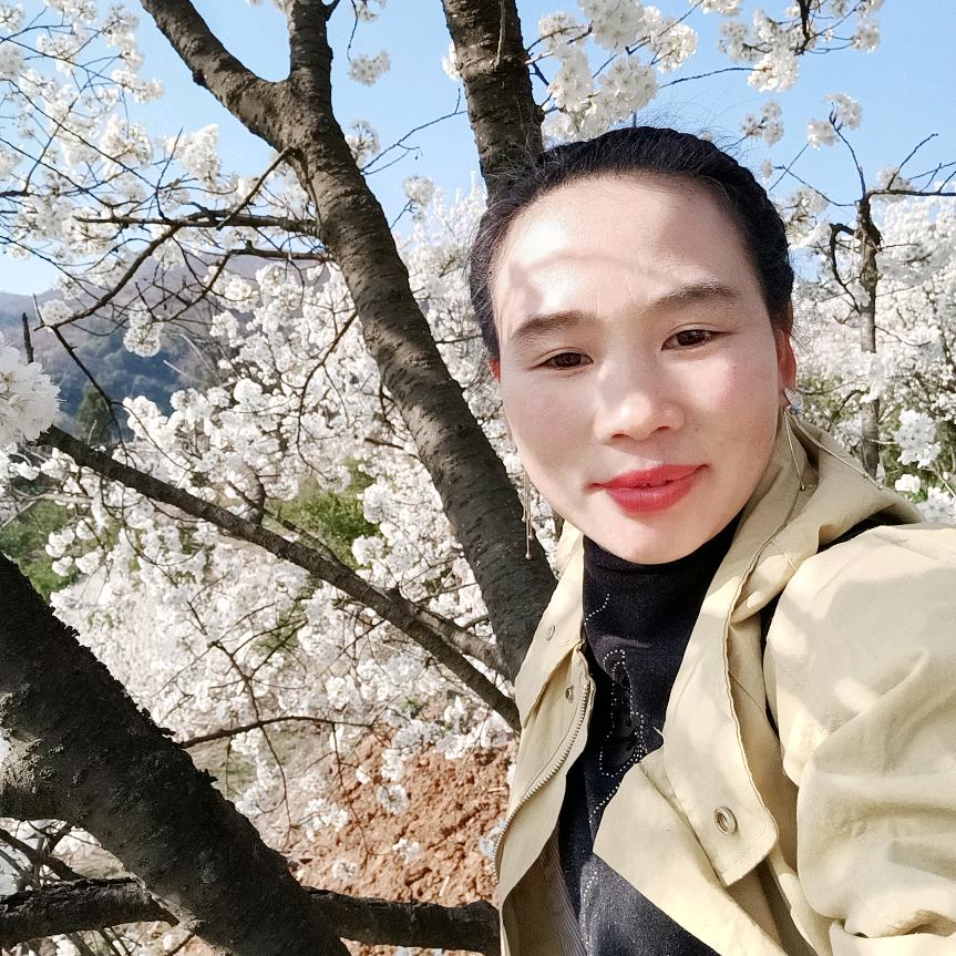 屈姐