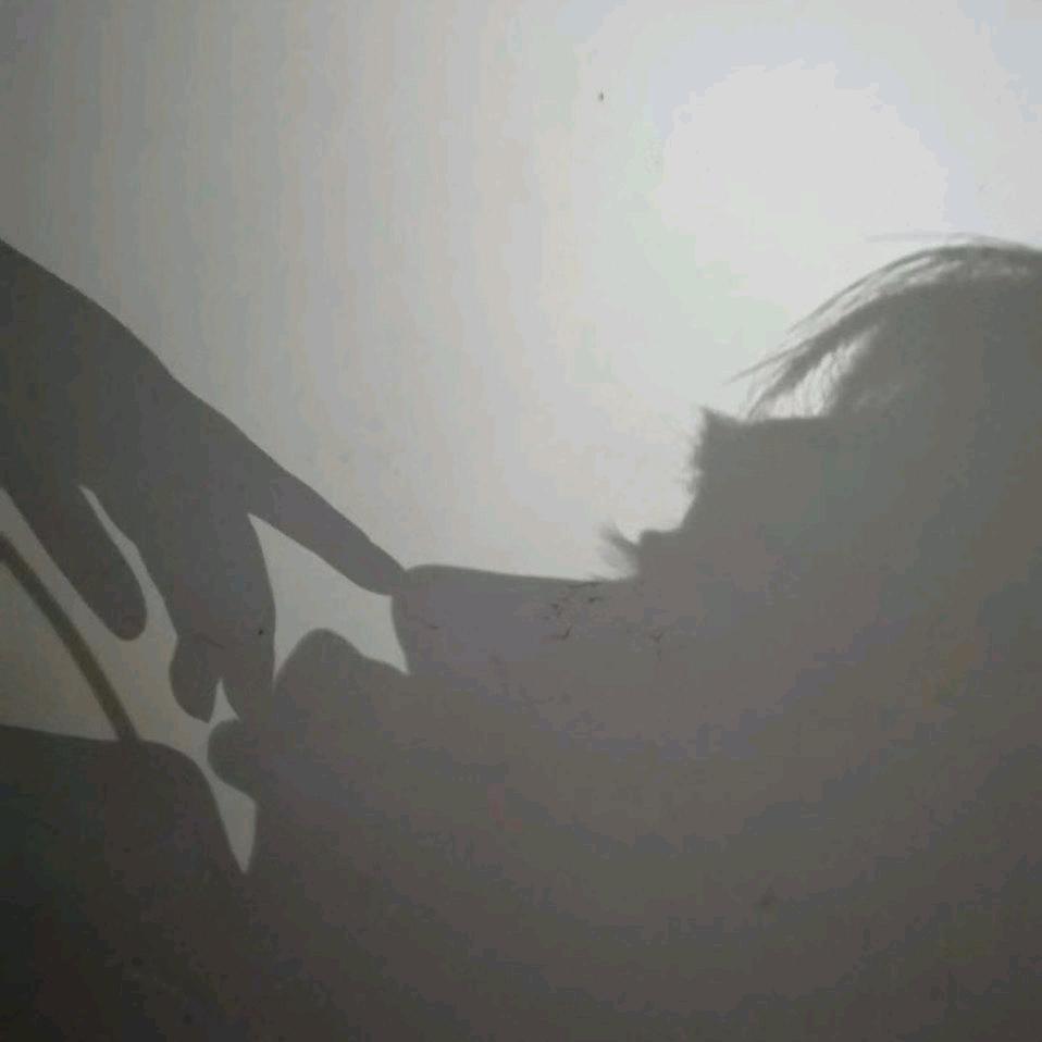 藕