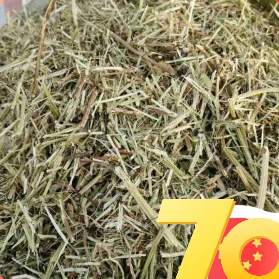 王焕涛