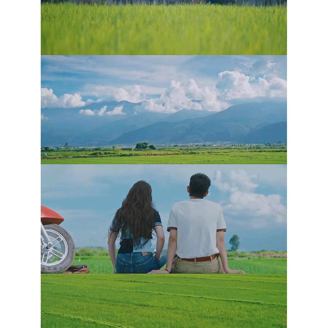 小兔子不爱吃红萝卜