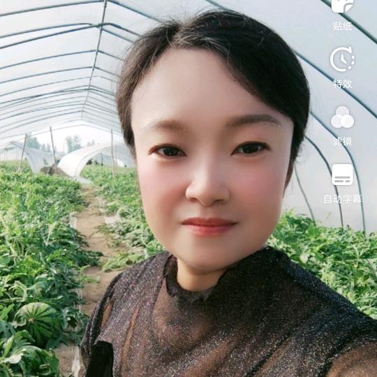 春花