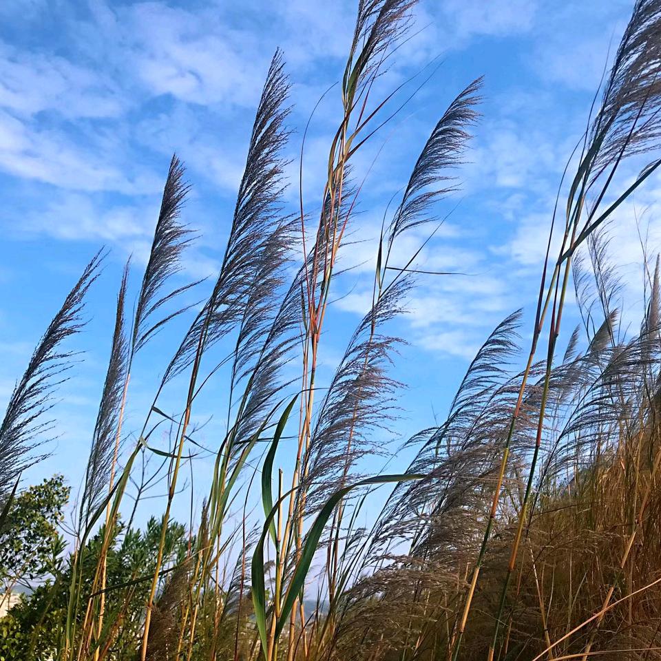 愿暮然回首尽是美好。。。。