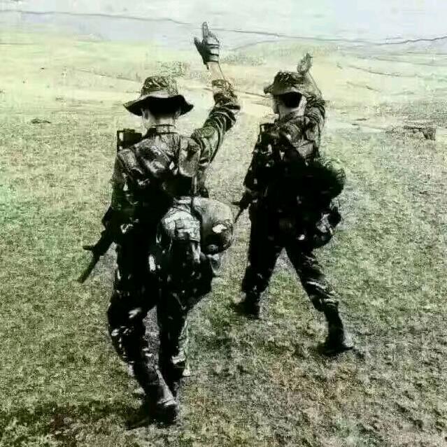小莫同志