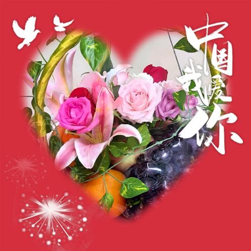 小刚鲜花绿植批发