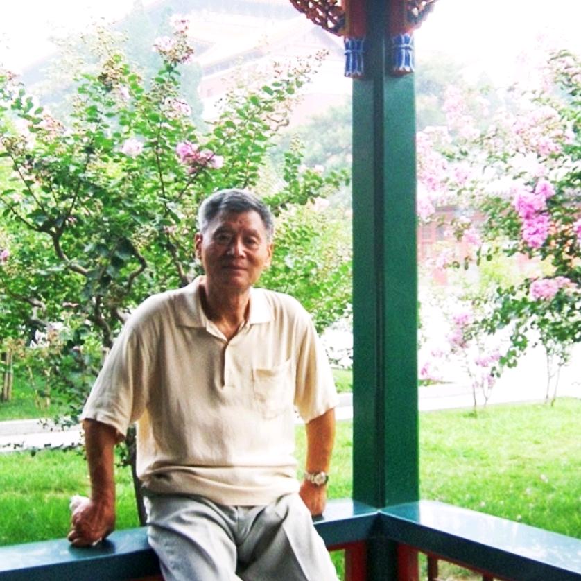 禾禾木