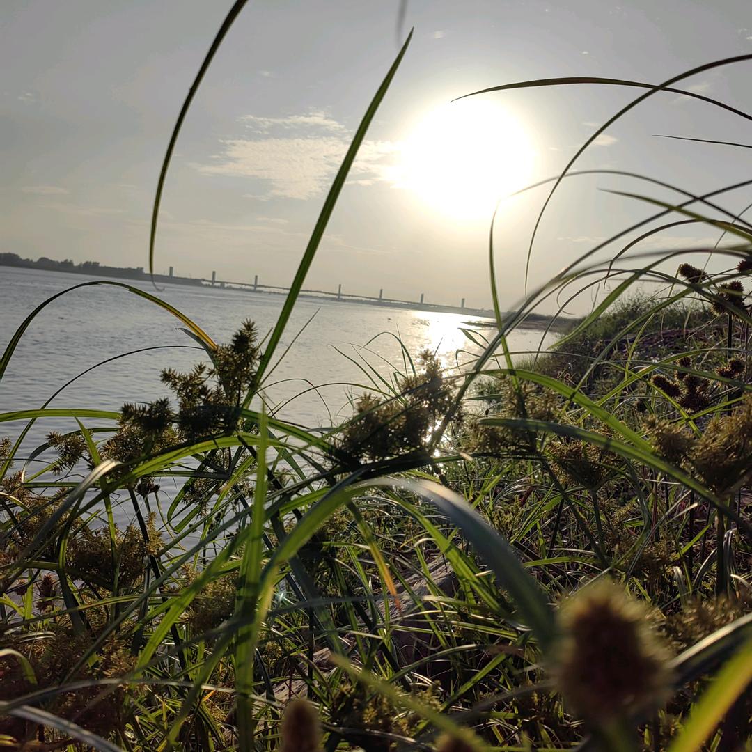 黄河岸边人头像