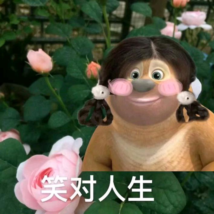 亚楠