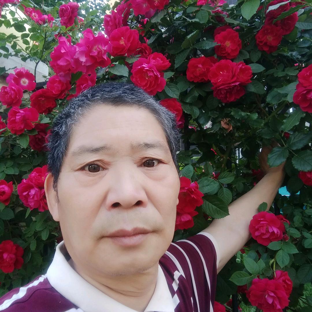 李运动