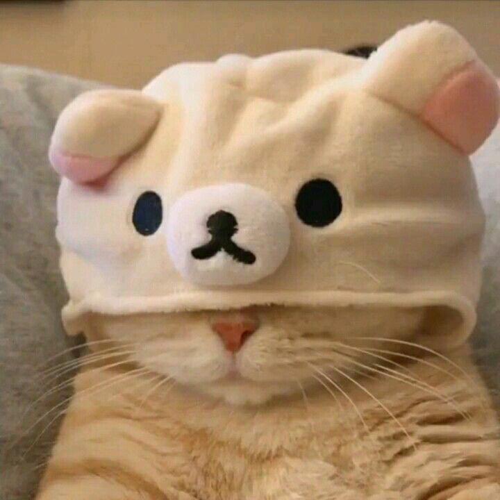 沫