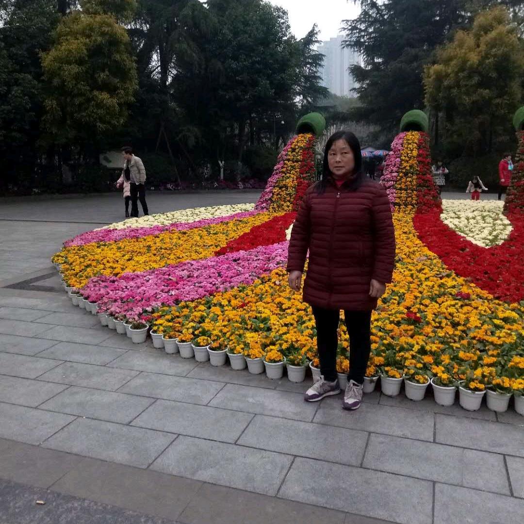 用户4711135594050710