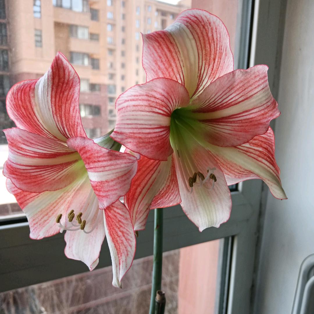 热爱生活🍁🍁🍁