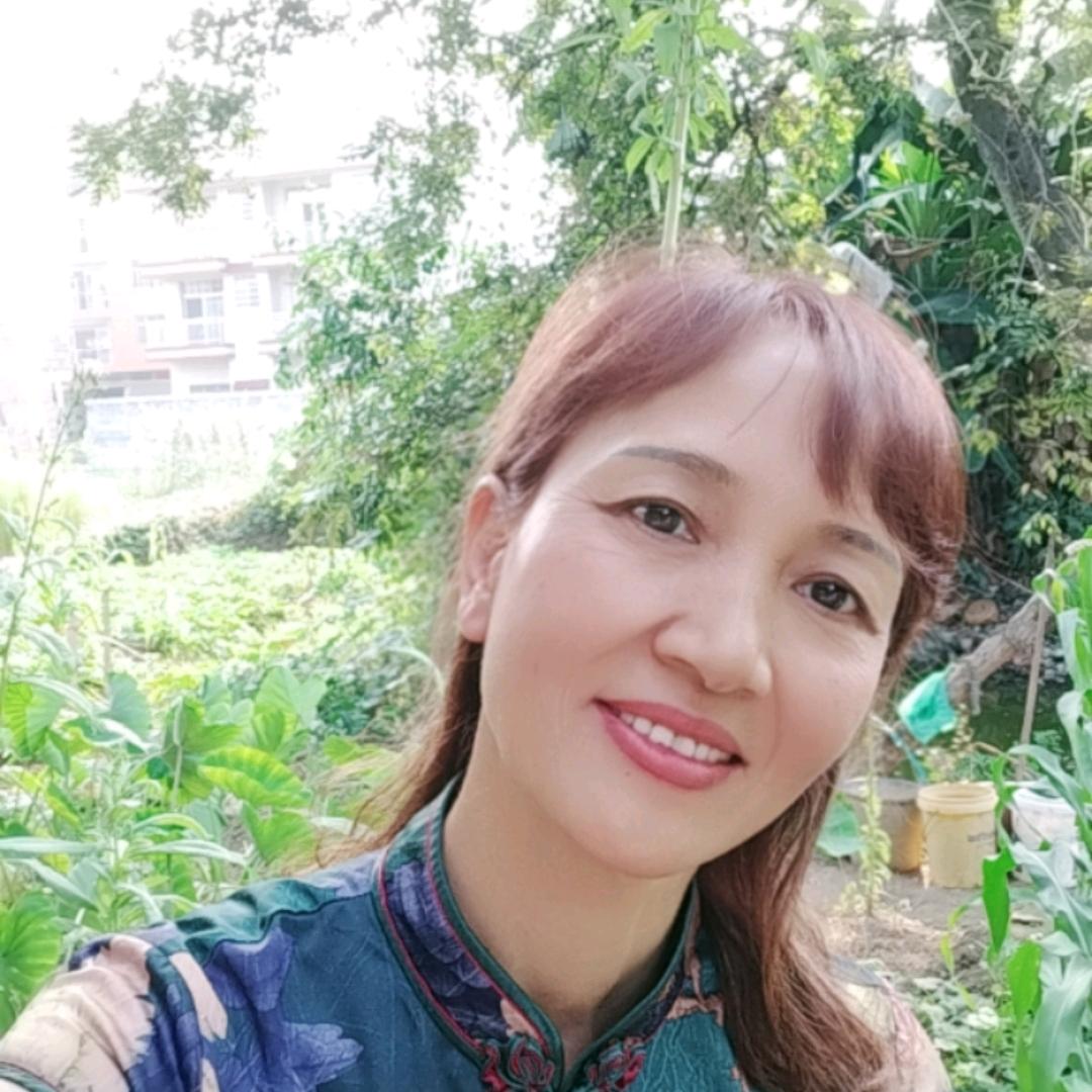 红红W