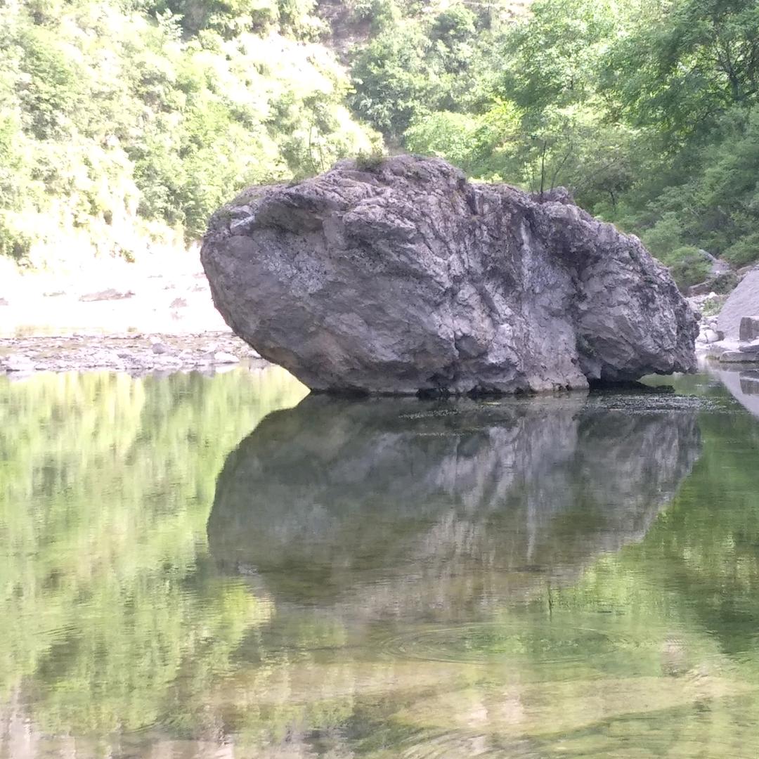 石榴
