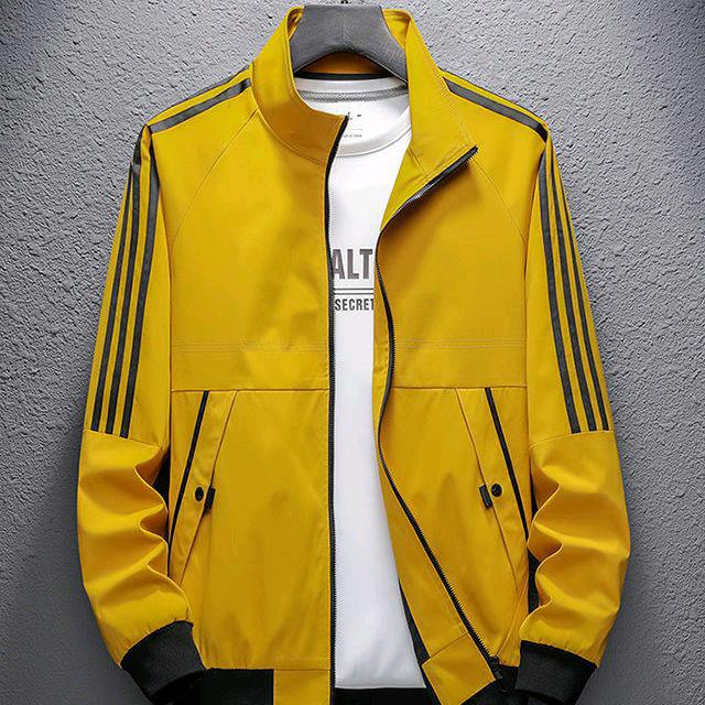 荆棘鸟男装供货