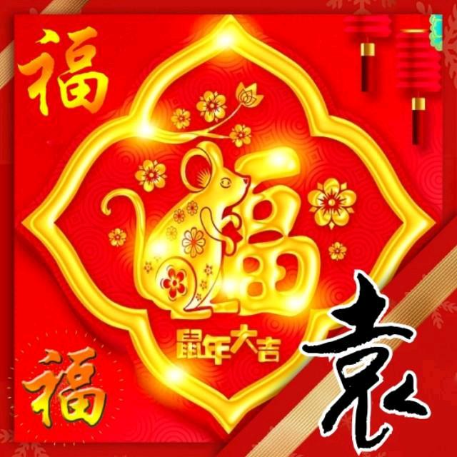 过好美一天