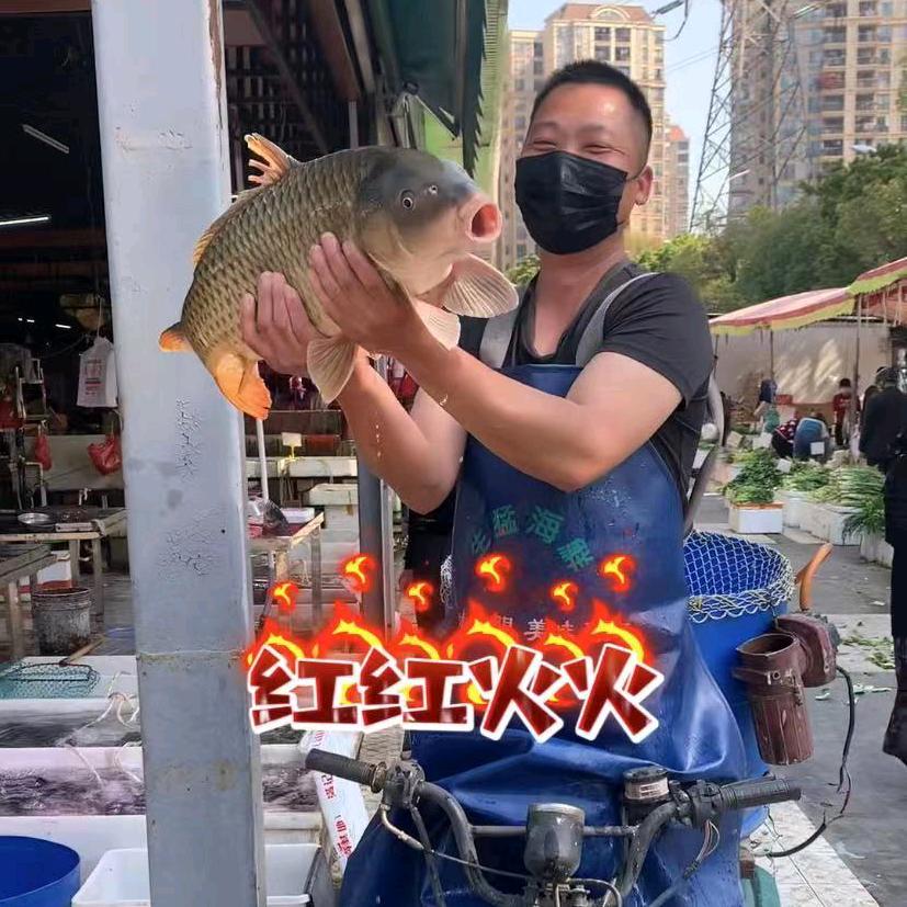 斗鱼伟