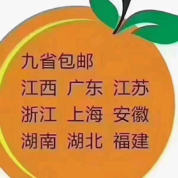 潘老伍