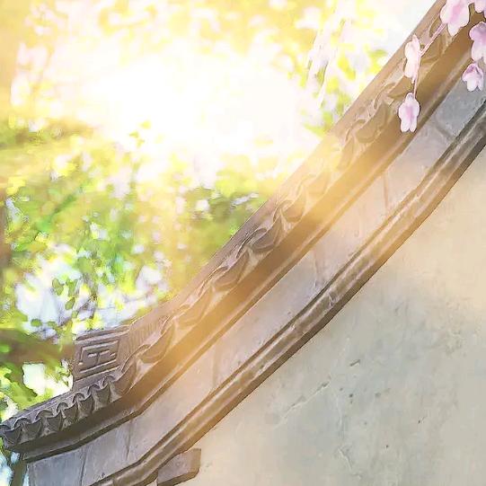衣如锦